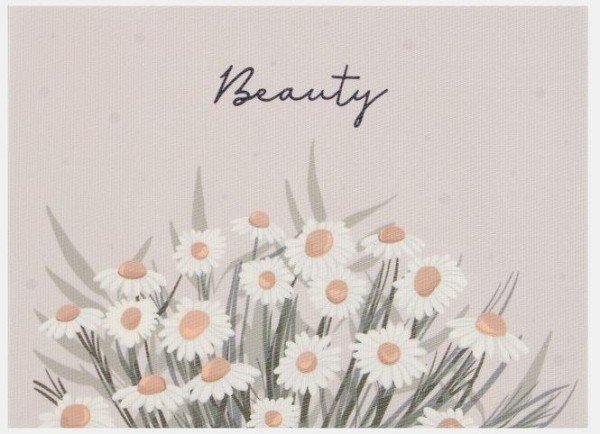 Салфетка на стол Доляна "Beauty" ПВХ 40*29см